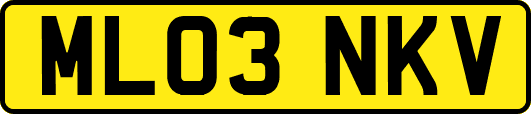 ML03NKV