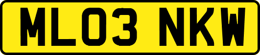 ML03NKW