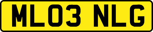 ML03NLG