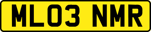 ML03NMR