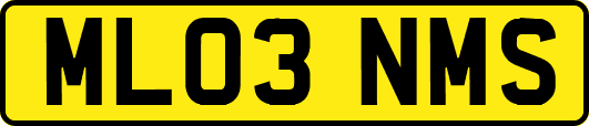 ML03NMS