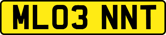 ML03NNT