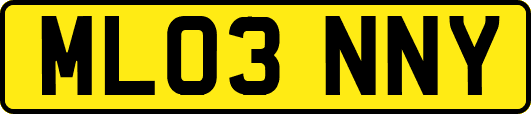 ML03NNY