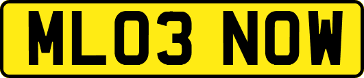 ML03NOW