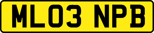 ML03NPB