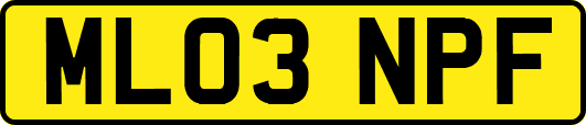 ML03NPF