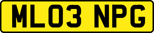 ML03NPG
