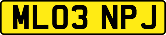 ML03NPJ