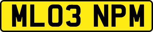 ML03NPM