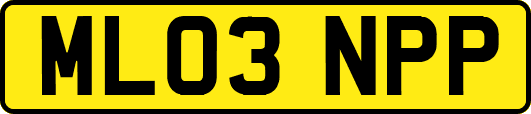 ML03NPP