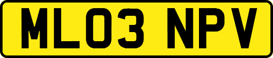 ML03NPV