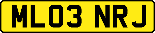 ML03NRJ