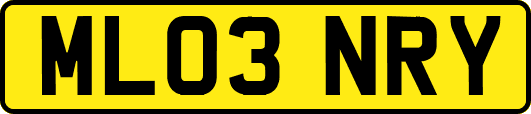 ML03NRY