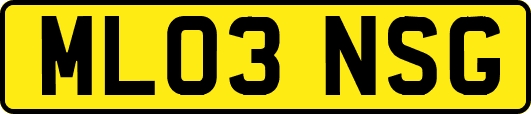 ML03NSG