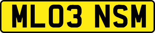 ML03NSM