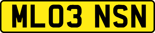 ML03NSN