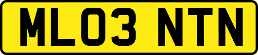 ML03NTN
