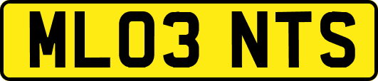 ML03NTS