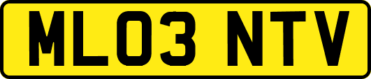 ML03NTV