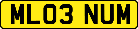 ML03NUM