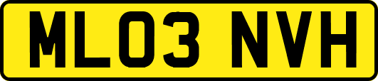ML03NVH