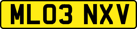 ML03NXV