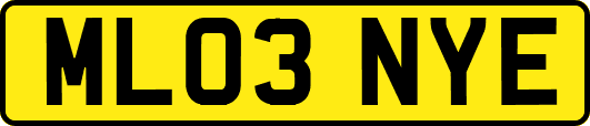 ML03NYE
