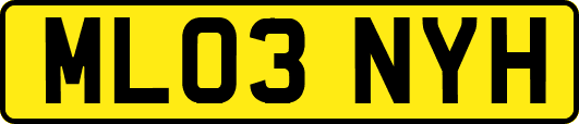ML03NYH