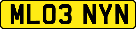 ML03NYN