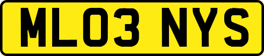 ML03NYS