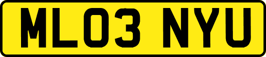 ML03NYU