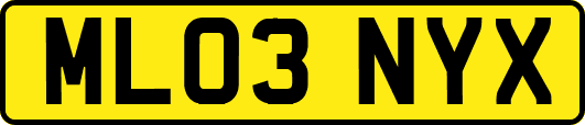 ML03NYX
