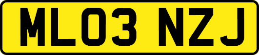 ML03NZJ