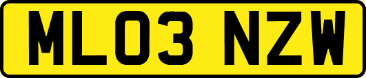 ML03NZW