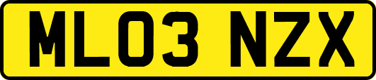 ML03NZX