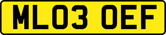 ML03OEF