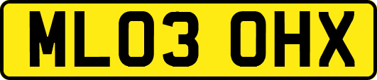 ML03OHX
