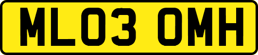 ML03OMH