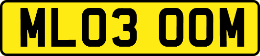 ML03OOM
