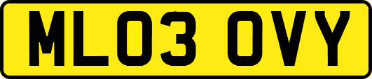 ML03OVY