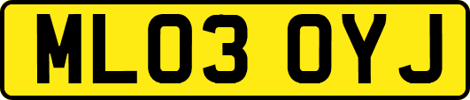 ML03OYJ