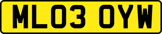 ML03OYW