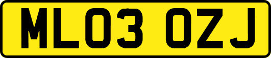 ML03OZJ