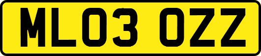 ML03OZZ