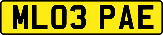 ML03PAE