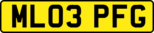 ML03PFG