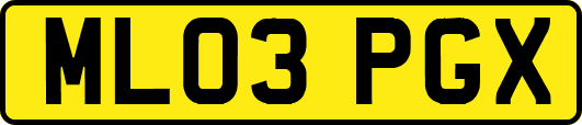 ML03PGX