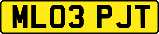 ML03PJT
