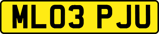 ML03PJU