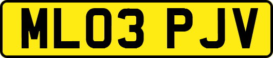 ML03PJV